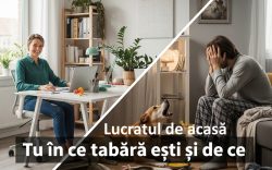 lucratul de acasa